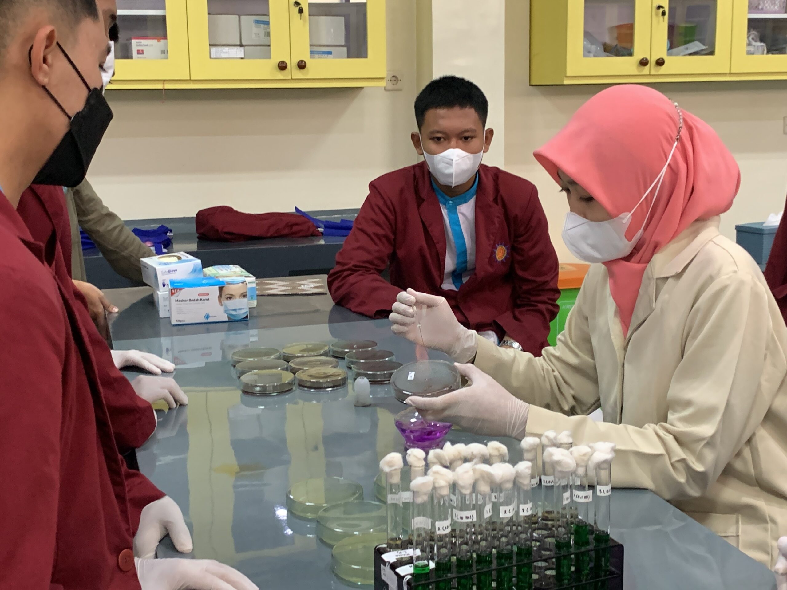 dok fikes laboratorium
