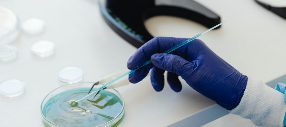 sumber pexels Biomolecular