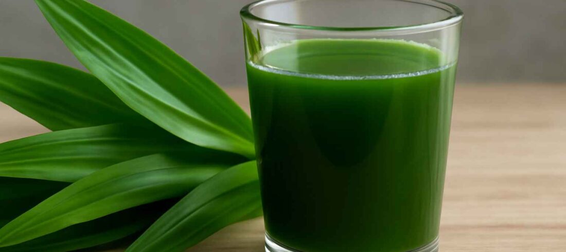 sari daun pandan